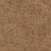 Octopus Skin PBR Texture - Image 2