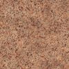 Octopus Skin PBR Texture - Image 2