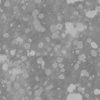 Pig Skin PBR Texture - Image 9