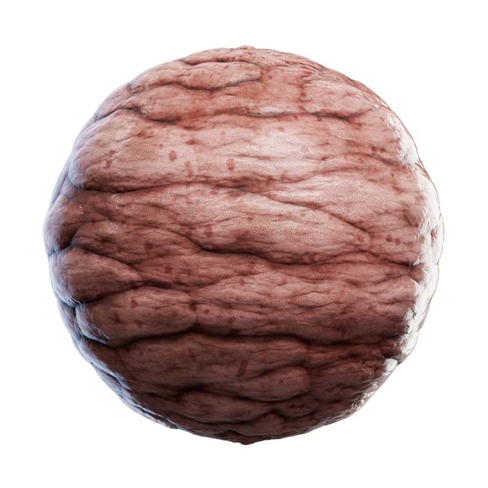 Salamander Skin PBR Texture