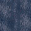 Seal Fur PBR Texture - Image 2