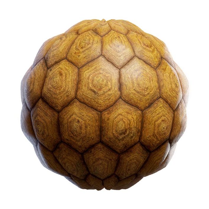 Tortoise Shell PBR Texture