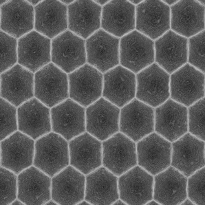 Tortoise Shell PBR Texture