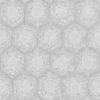 Tortoise Shell PBR Texture - Image 3