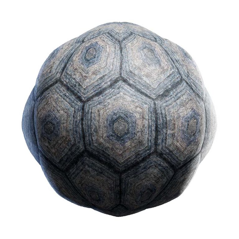 Tortoise Shell PBR Texture