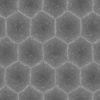 Tortoise Shell PBR Texture - Image 9
