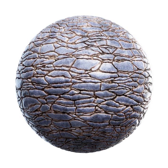 Tortoise Skin PBR Texture
