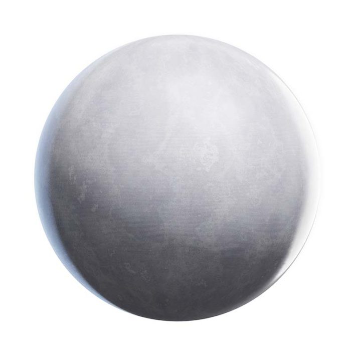 White Shark Skin PBR Texture