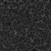 Brown Porous Rock PBR Texture - Image 8