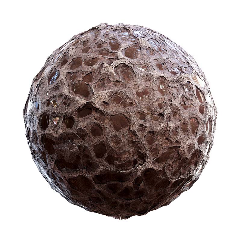 Brown Porous Rock with Water PBR Texture