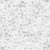 Brown Porous Rock with Water PBR Texture - Image 3
