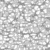 Brown Porous Rock with Water PBR Texture - Image 4