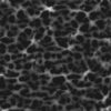 Brown Porous Rock with Water PBR Texture - Image 5