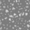 Brown Rock Tiles with Water PBR Texture - Image 5