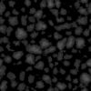 Brown Rock Tiles with Water PBR Texture - Image 9