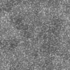 Clover Field PBR Texture - Image 9