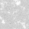 Cracked Brown Dirt with Water PBR Texture - Image 3