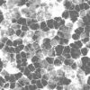 Cracked Brown Dirt with Water PBR Texture - Image 4