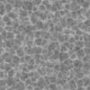 Cracked Dry Dirt with Sticks PBR Texture - Image 9