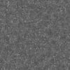 Daisy Field PBR Texture - Image 4