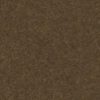 Dirt with Grass and Sticks PBR Texture - Image 2