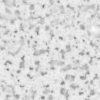 Dirt with Rocks and Water PBR Texture - Image 3