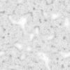 Dirt with Rocks and Water PBR Texture - Image 3