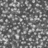 Dirt with Stone Plates and Water PBR Texture - Image 5