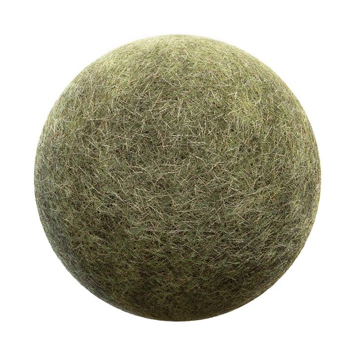 Dry Grass PBR Texture