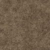 Dry Grass PBR Texture - Image 2