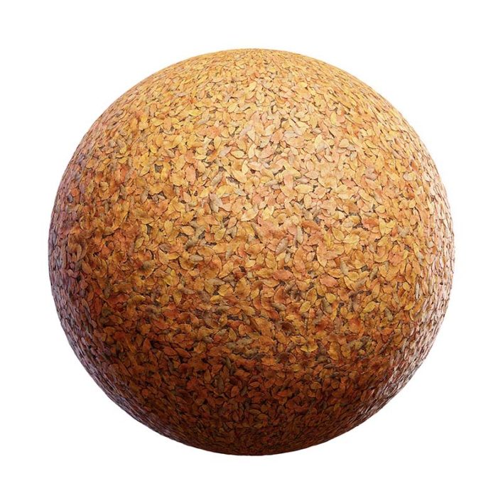 Dry Leaves PBR Texture