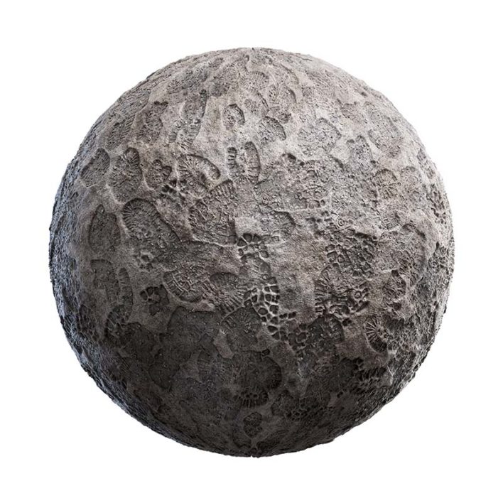 Footprints on Grey Mud PBR Texture