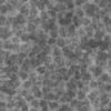 Footprints on Grey Mud PBR Texture - Image 5