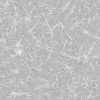 Forest Ground PBR Texture - Image 3