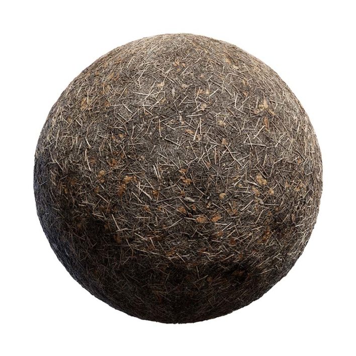 Forest Ground PBR Texture