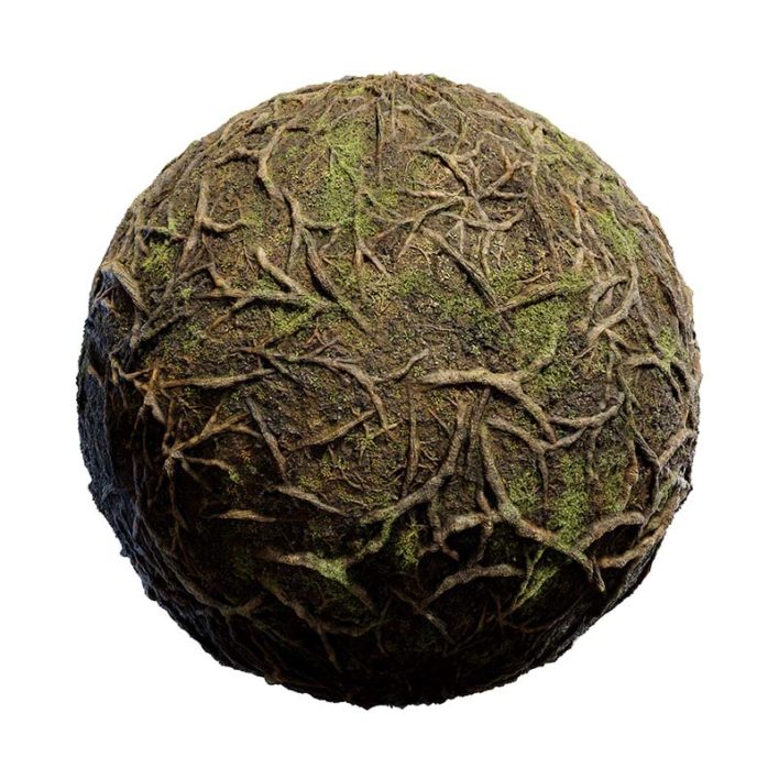 Forest Ground with Tree Roots PBR Texture