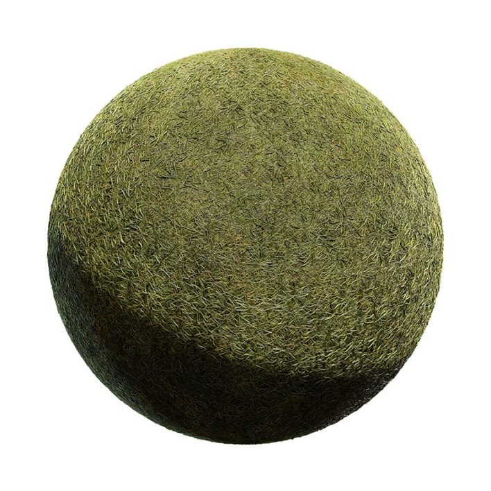 Grass PBR Texture