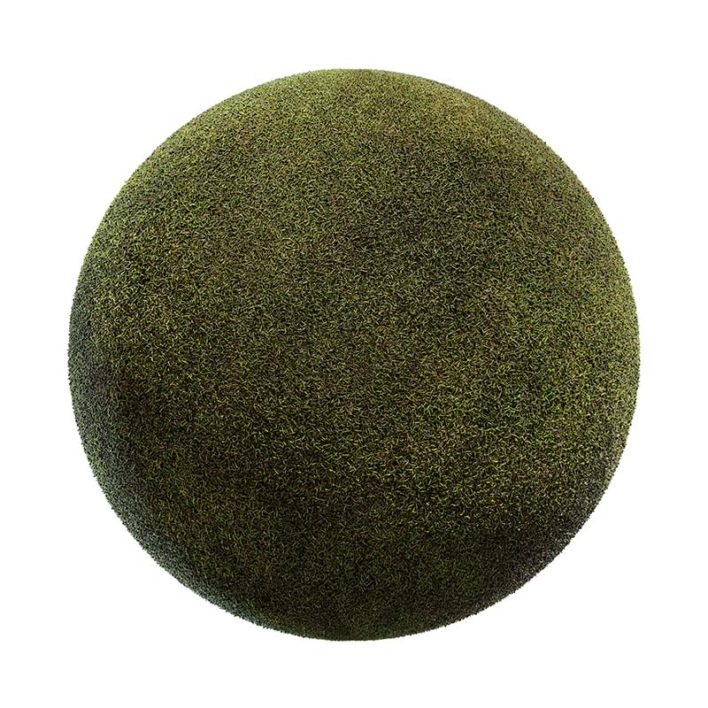 Grass PBR Texture