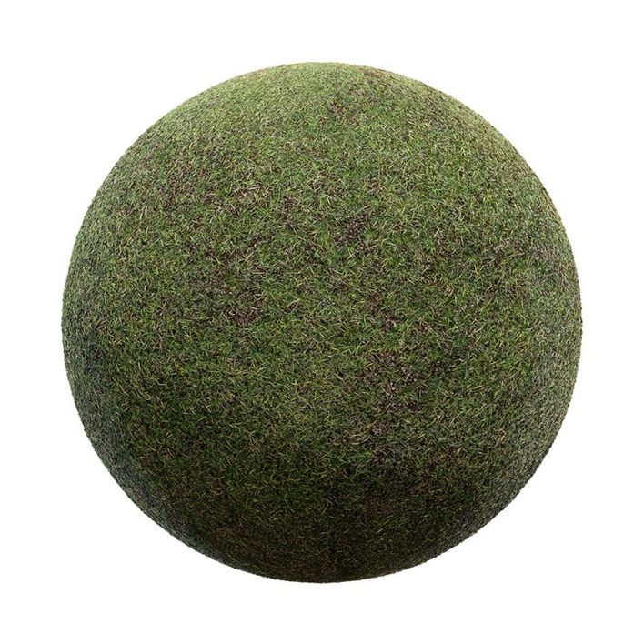 Grass PBR Texture