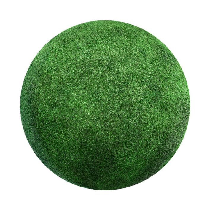 Grass with Clover PBR Texture