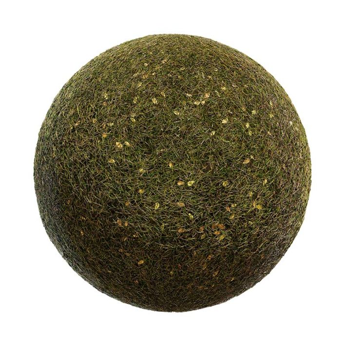 Grass with Dry Leaves PBR Texture