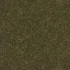 Grass with Dry Leaves PBR Texture - Image 2
