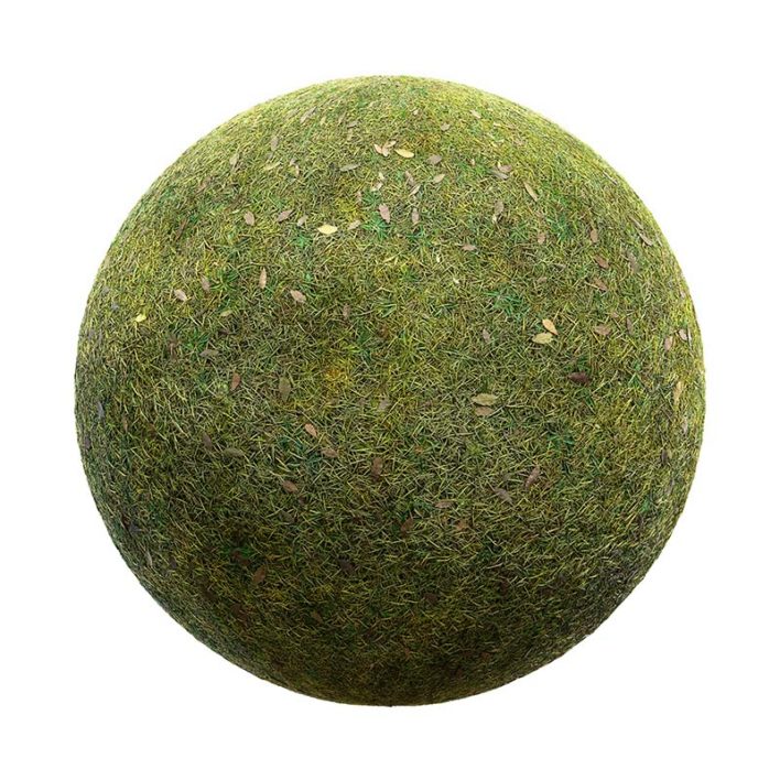 Grass with Dry Leaves PBR Texture