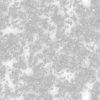 Grass with Dry Leaves and Ice PBR Texture - Image 3