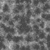 Grass with Dry Leaves and Water PBR Texture - Image 5