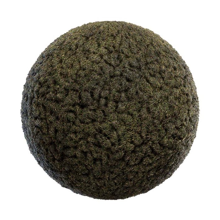Grass with Mud PBR Texture