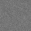 Grass with Mud PBR Texture - Image 4