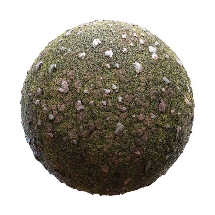 Grass with Mud and Stones PBR Texture