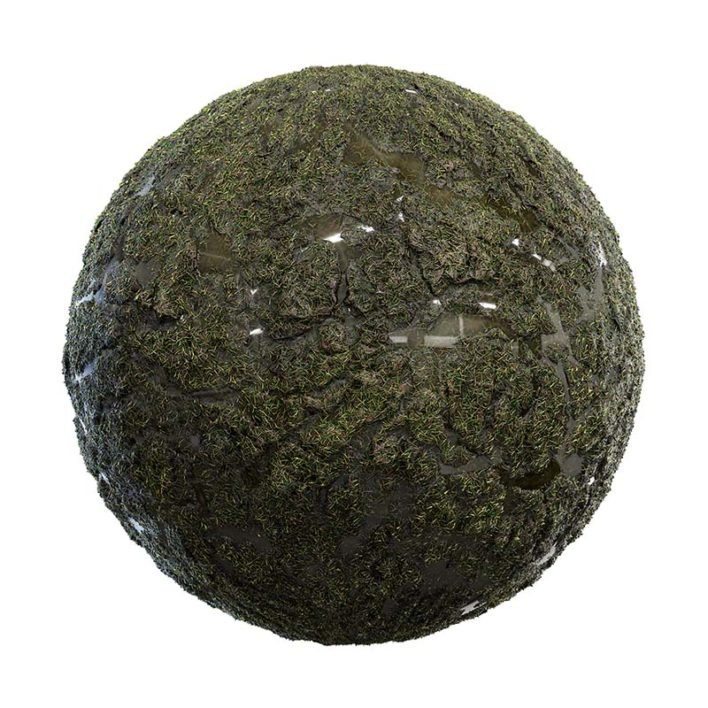 Grass with Mud and Water PBR Texture