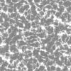 Grass with Mud and Water PBR Texture - Image 4